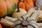 Assortiment of pumpkins background