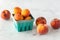 An assortment of apricots and peaches against a light background.