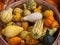 Assortment of Autumn Squash in a Bushel Basket