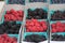 Assortment of Berries at a Farmers Market in California: Raspberry, Blackberries, Blueberries, Mulberries