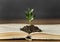 Assortment with book plant ground. High quality and resolution beautiful photo concept