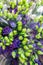 Assortment of bouquets of colorful anemones in a flower shop