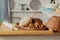 Assortment of breads near a wicker basket on a table in a rustic kitchen. Composition in kitchen at the photo studio