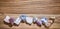 Assortment of crystal healing stones in a banner