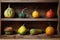 Assortment of different decorative and edible pumpkins