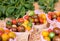 Assortment of different organics cherry tomatoes in boxes