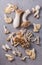 Assortment of edible mushrooms rich in umami tasting on grey background