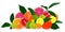 Assortment of exotic fruits on white background.Orange, kumquat, tangerine, grapefruit, lemon, lime.