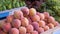 Assortment of fresh fruits at market