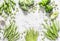 Assortment of fresh organic vegetables with copy space on a light background, top view. Asparagus, broccoli, green beans, peas, be