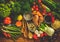 Assortment of fresh vegetables on wooden background