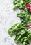 Assortment of herbs, salad detox ingredients - radishes, swiss chard, arugula, spinach, bok choi on a light background, top view.