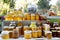 Assortment of honey jars at market stall. Sale of natural honey in fair outdoor