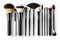 assortment of makeup brushes. professional set