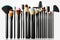 assortment of makeup brushes. professional set