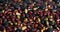 Assortment of many kinds of beans for background