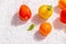 Assortment ripe tomatoes with fresh basil leaves on white putty background