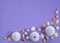 Assortment of Shells on Purple Background