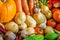 Assortment of vegetables for healthy eating. In autumn, harvest various vegetables