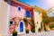 Assos village. Traditional colored greek houses with bright blue doors and windows. Blooming fucsia plant flowers