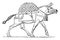 Assyrian Mule vintage illustration