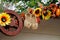 Ast shoes, sunflowers and wheel as autumn decoration for street festival `Moscow autumn`