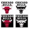 ASTANA, KAZAKHSTAN -25 October 2020 : Chicago Bulls icon. Chicago Bulls logo. Vector Chicago Bulls symbol. American basketball