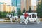 ASTANA, KAZAKHSTAN - JULY 25, 2017: Touristic horse carriage in the center of Astana city.