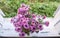 Aster bessarabicus decorative ornamental plant. Bouquet of autumn flowers. Beautiful purple asters in ceramic vase on the wooden