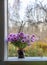 Aster bessarabicus decorative ornamental plant. Bouquet of autumn flowers. Beautiful purple asters in ceramic vase on the wooden