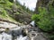 Aster Falls in Glacier National Park
