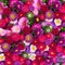 Aster flowers background