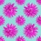 Aster. Illustration, texture of flowers. Seamless pattern for continuous replicate. Floral background, photo collage for