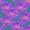 Aster. Illustration, texture of flowers. Seamless pattern for continuous replication. Floral background, photo collage for textile