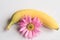 Aster and ripe yellow banana on a white background.