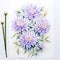 Aster Watercolor Painting: White Magic Flowers On White Background