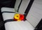 Asters bouquet on car seat