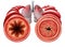 Asthma Diagram Medical Concept