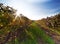 Astigiano, Piedmont, Italy: landscape