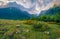 Astonishing summer view of alpine meadows. Stunning morning scene of Upper Svaneti, Georgia