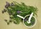 Astragalus, astragalus dasyanthus. Dry herbs. Herbal medicine, p