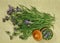 Astragalus. Dry herbs. Herbal medicine, phytotherapy medicinal h