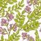 Astragalus vector pattern