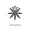 Astrantia icon. Trendy Astrantia logo concept on white background from Nature collection