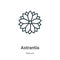 Astrantia outline vector icon. Thin line black astrantia icon, flat vector simple element illustration from editable nature