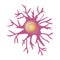 Astrocyte structure. Nerve cell. Infographics. Vector illustration on background.