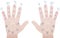 Astrology Palmistry Sections Hands