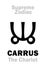 Astrology: Supreme Zodiac: CARRUS (The Carriage / The Chariot) or Ursa Major