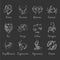 Astrology zodiac light graphic signs on dark background