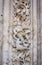 Astronaut carved on the facade of the cathedral of Salamanca in Spain